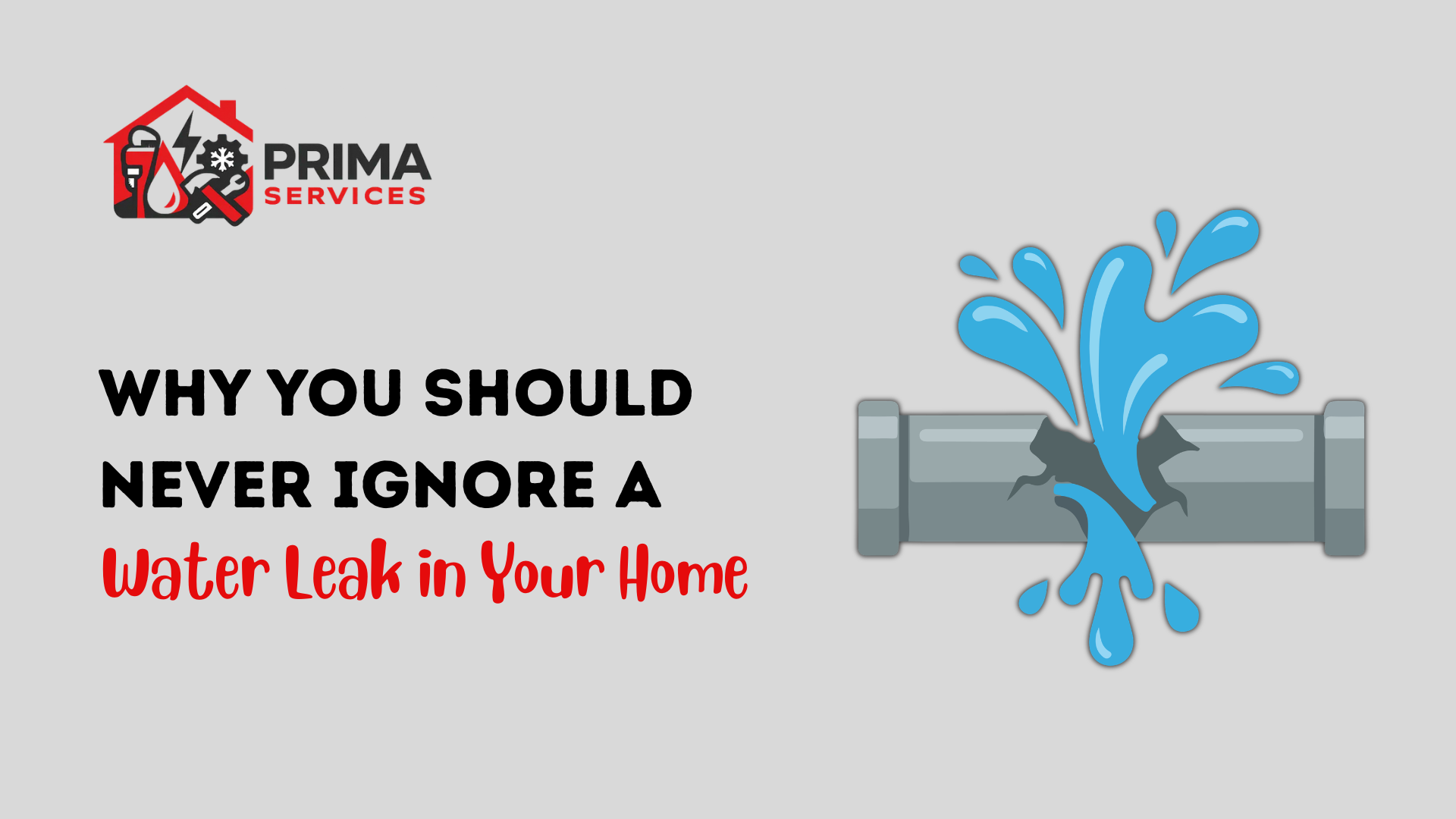 Why You Should Never Ignore a Water Leak in Your Home